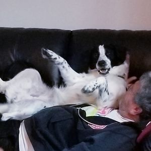 Meet your Posher, Judi